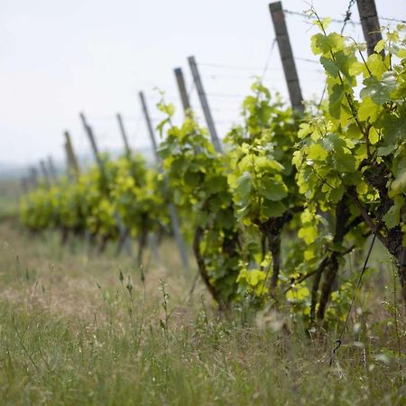Weingut Schilling Hotel Seinsheim Bagian luar foto