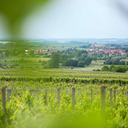 Weingut Schilling Hotel Seinsheim Bagian luar foto