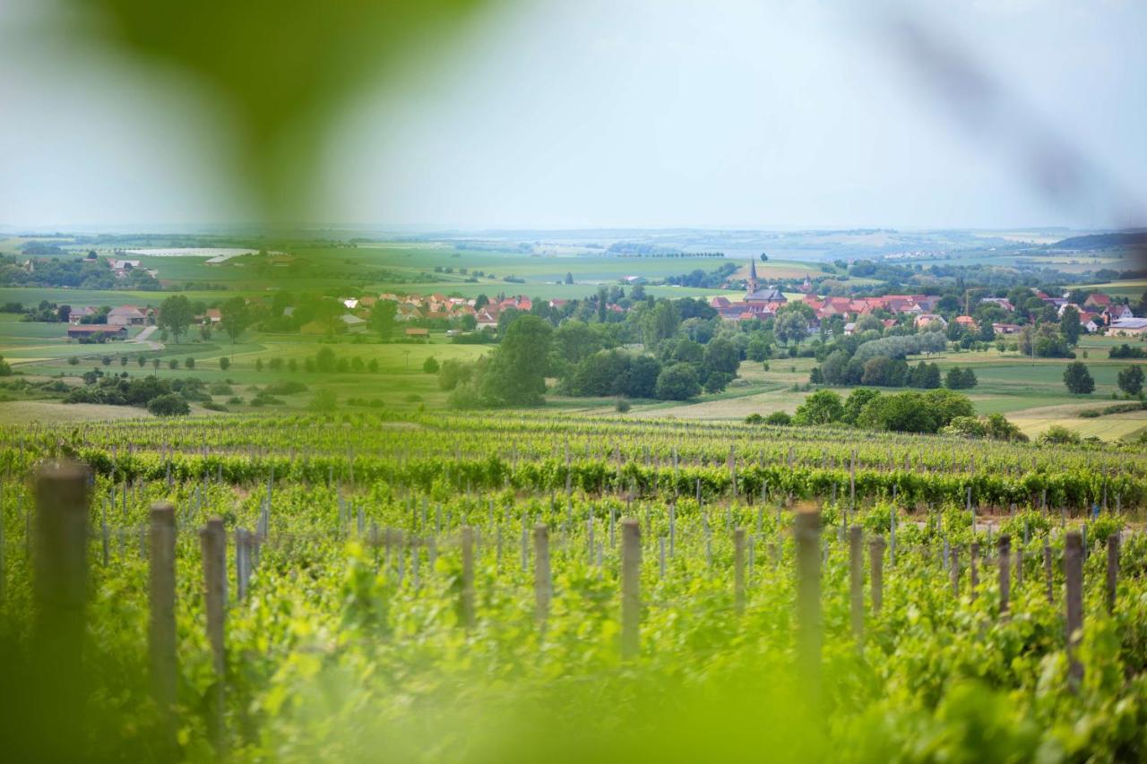 Weingut Schilling Hotel Seinsheim Bagian luar foto